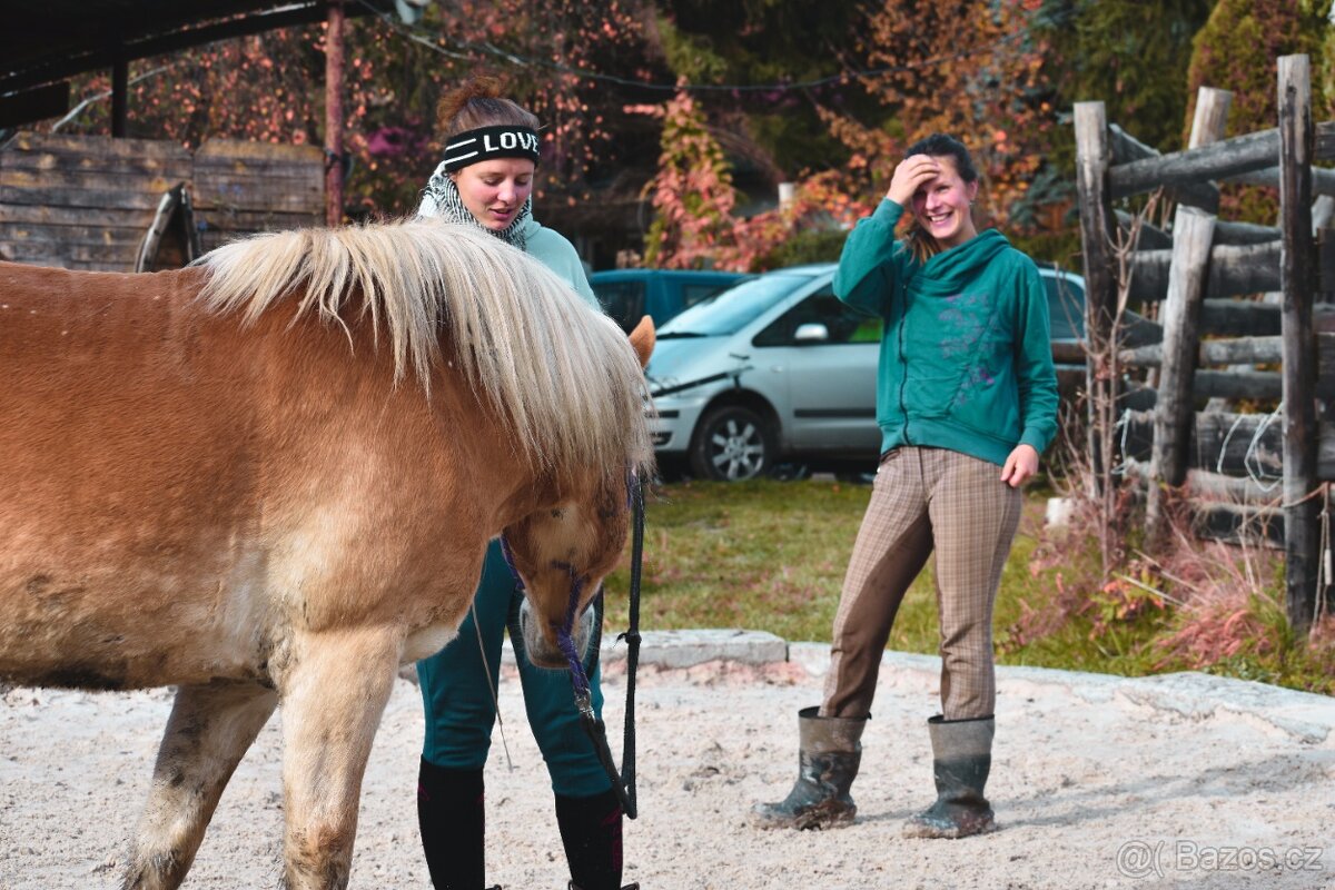 Výcvik koní - 7