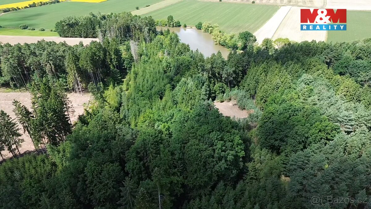 Prodej lesa, 5323 m², Opařany - 7