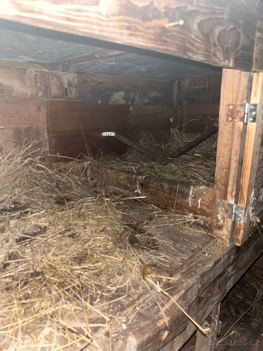 dvoukotcová králikárna - 7