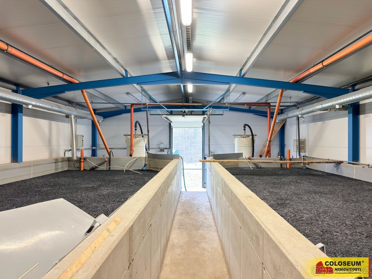 Nedvědice, pronájem výrobního areálu, 19 015 m², hala, kance - 7