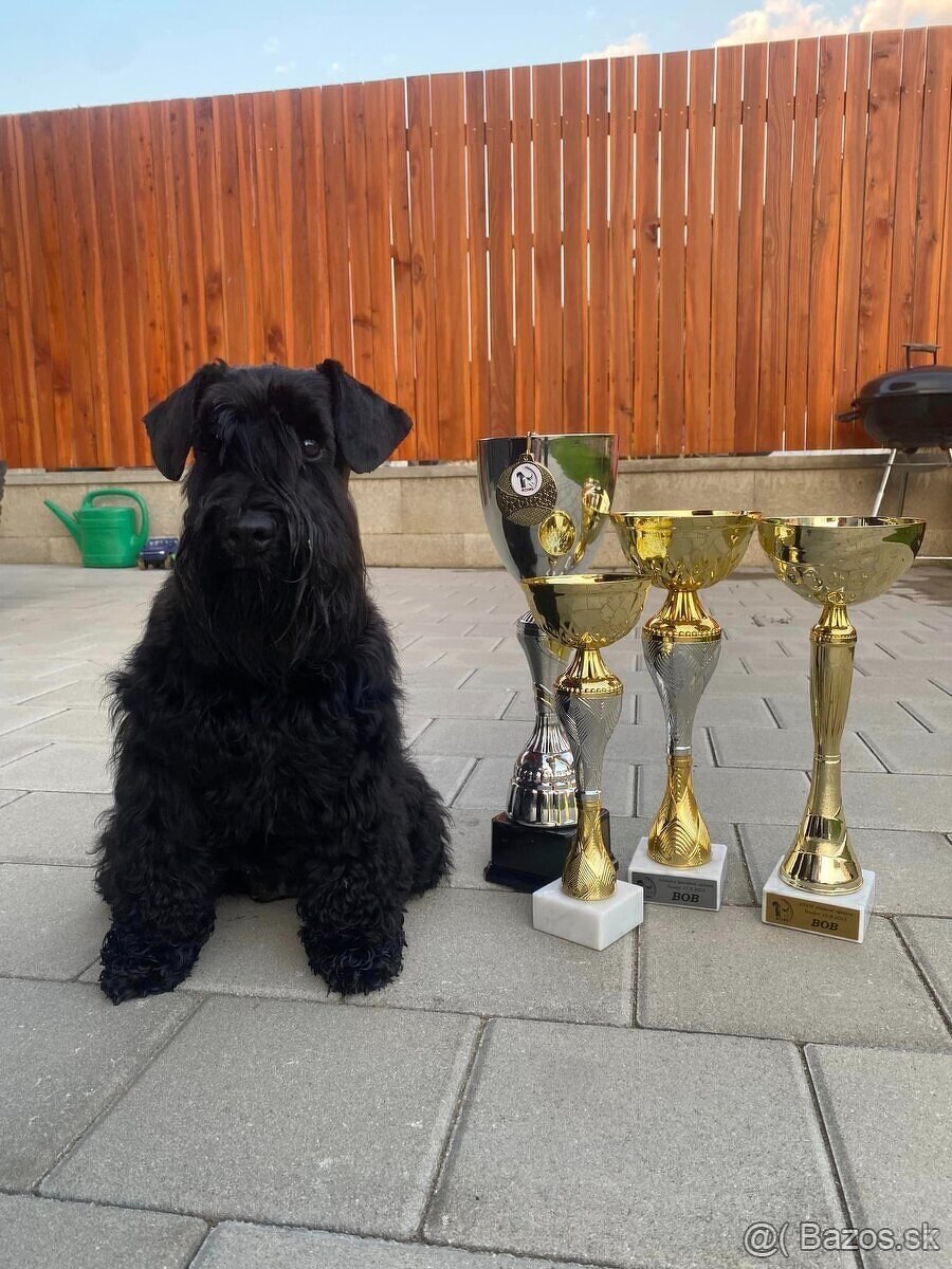 Knirac maly s PP - 7