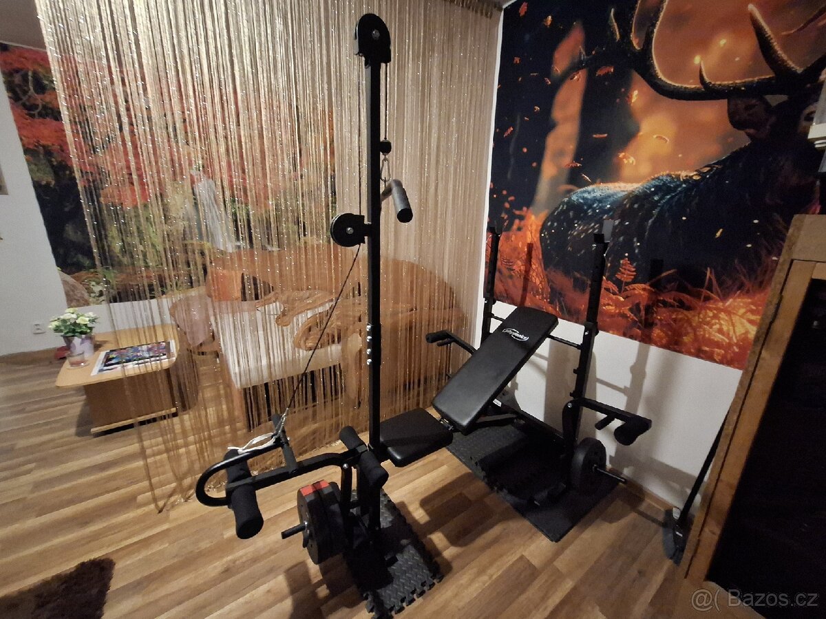Posilovací věž + kotouče - 7