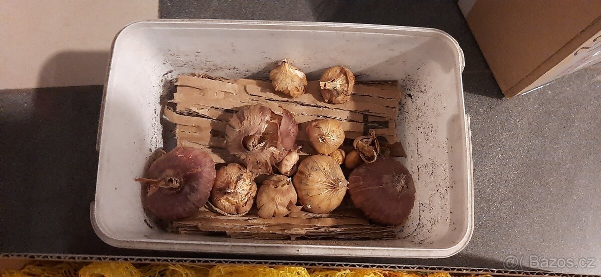 Prodam přebytky - 7