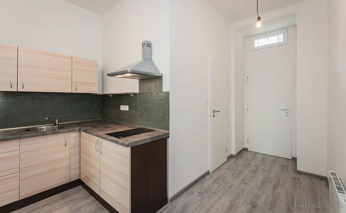 Pronájem 1+1 - 7