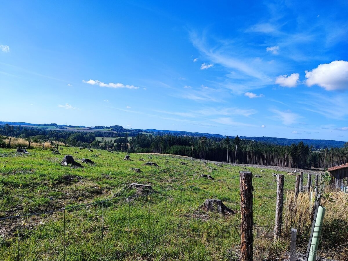 Prodej lesa 233 155 m² Žďár u Nové Včelnice - 7