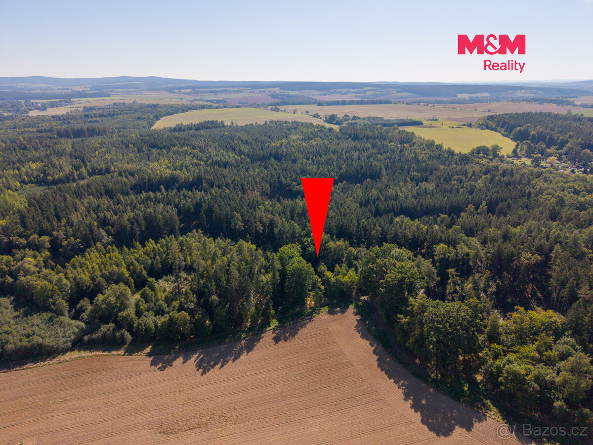 Prodej lesa, 1.757 m², Podhrad, Cheb - 7