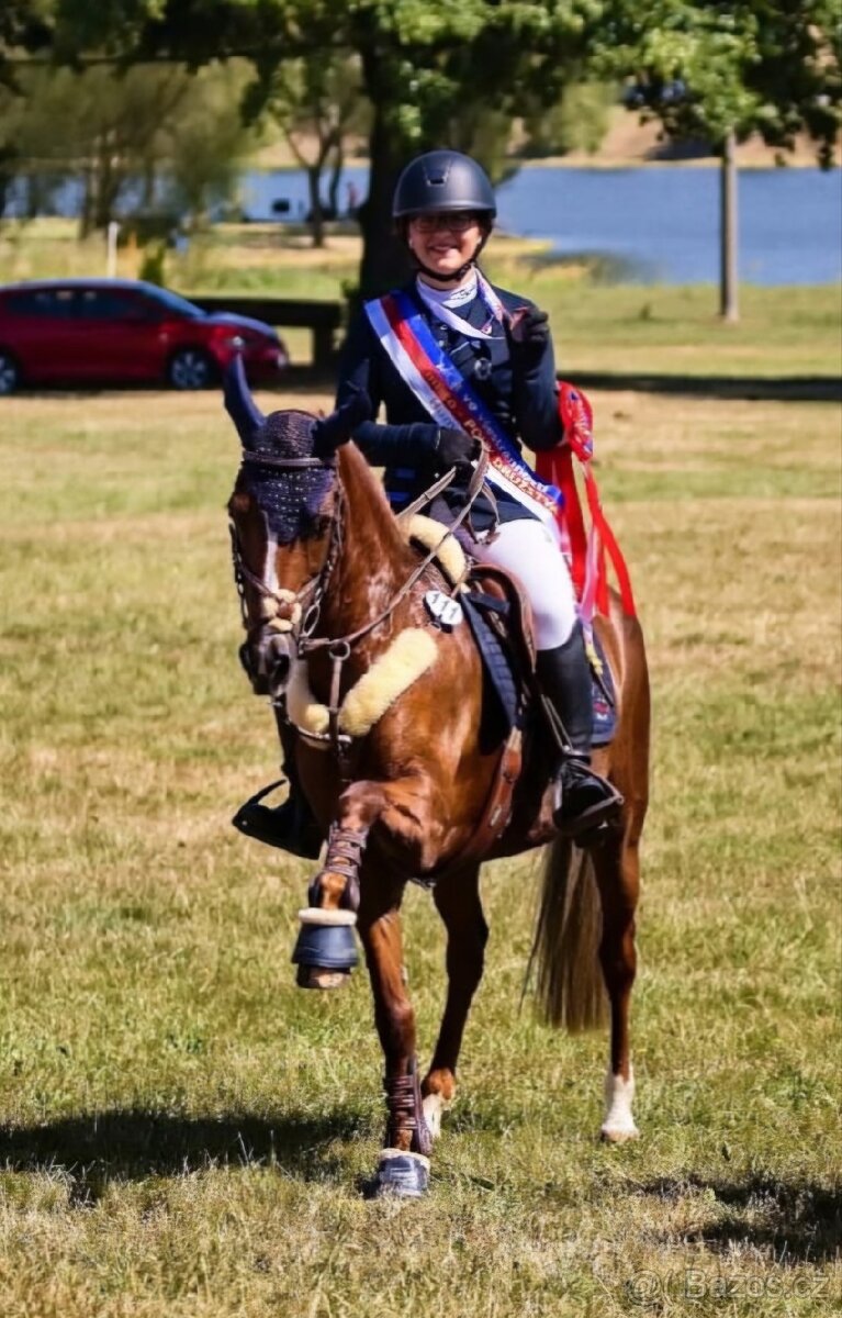 Pony B do sportu - 7
