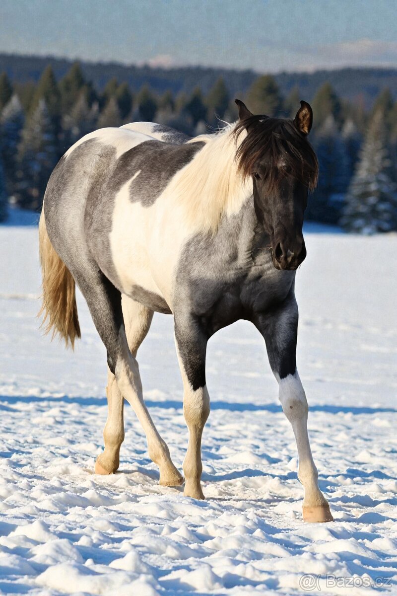 Klisna APH - 7 PANEL - 7