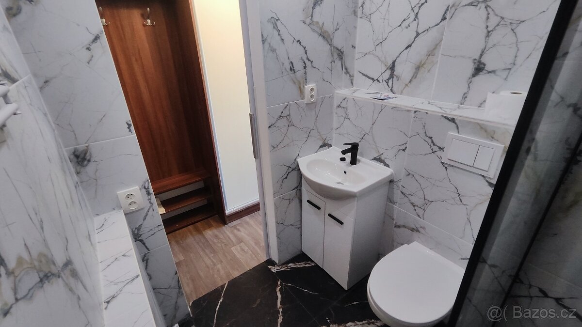 Pronájem bytu 1kk Lovosice - 7