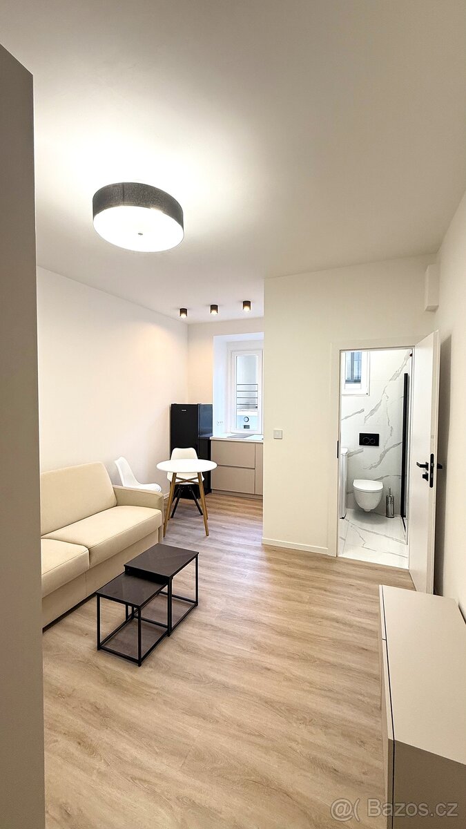 Pronajem bytu 1+kk 18,2 m² Ortenovo náměstí - Holešovice - 7