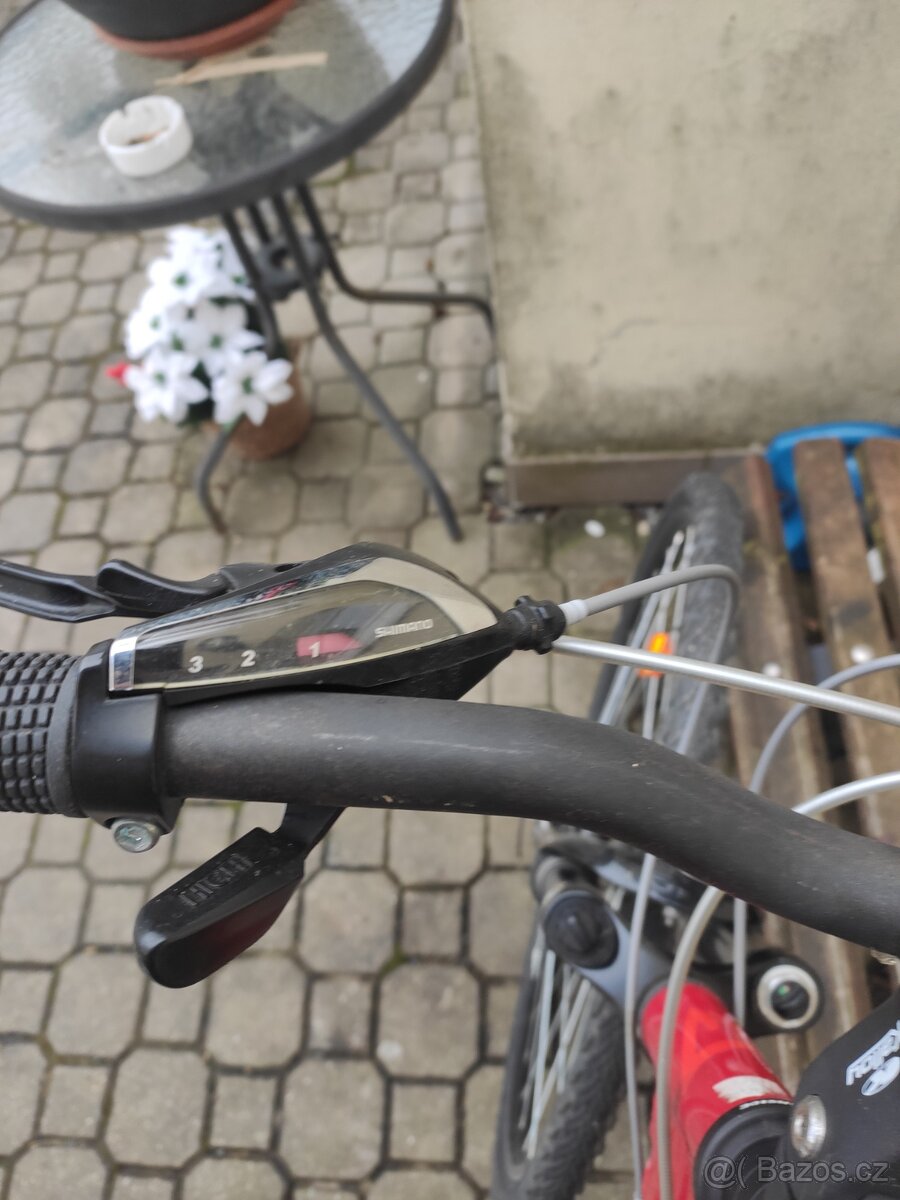 Kolo STR CROSS Bass lady - 7