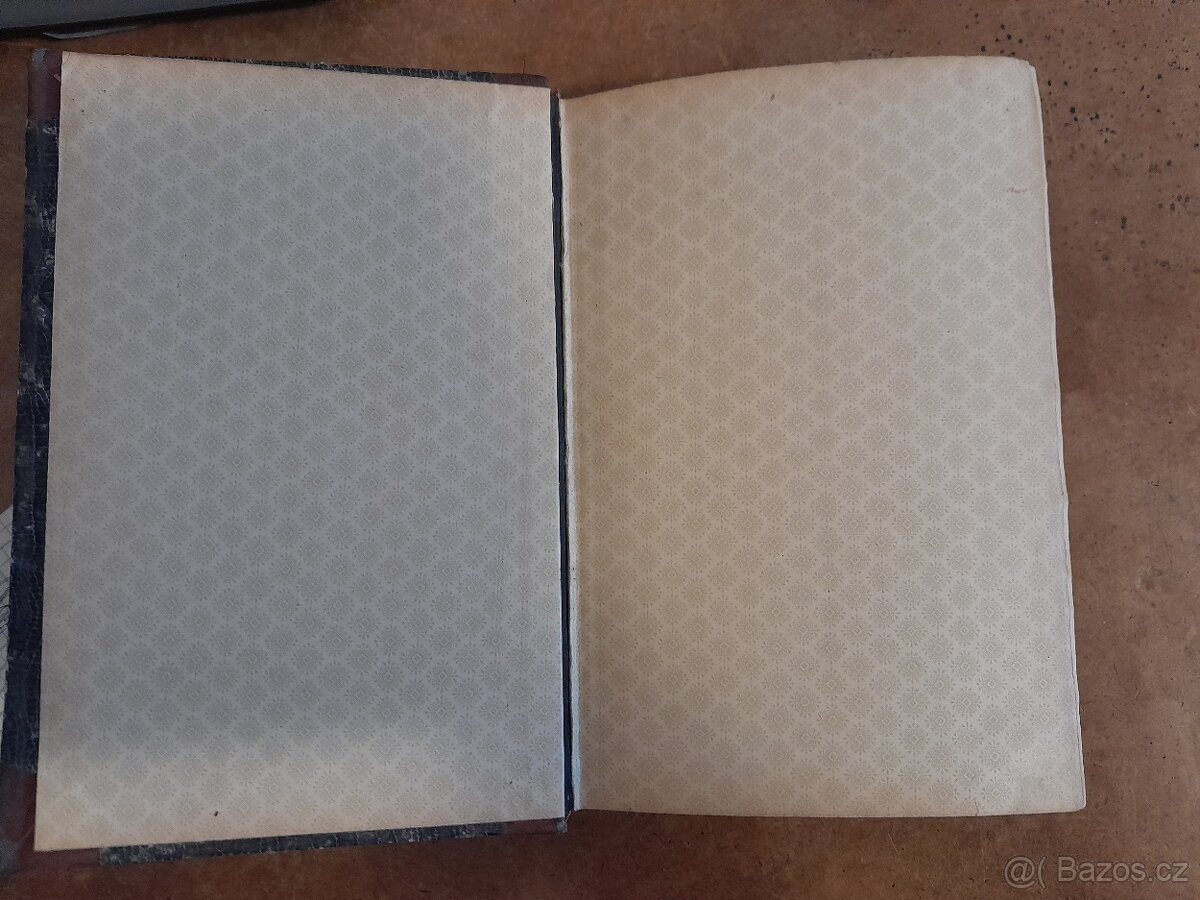 Kniha starožitná DIAGNOSTIKA CHOROB DUŠEVNÍCH 1904 - 7