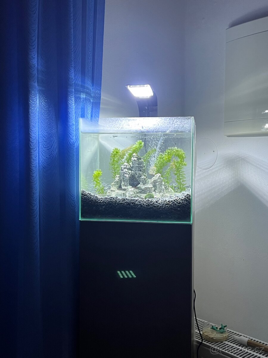 Prodám akvária - 7