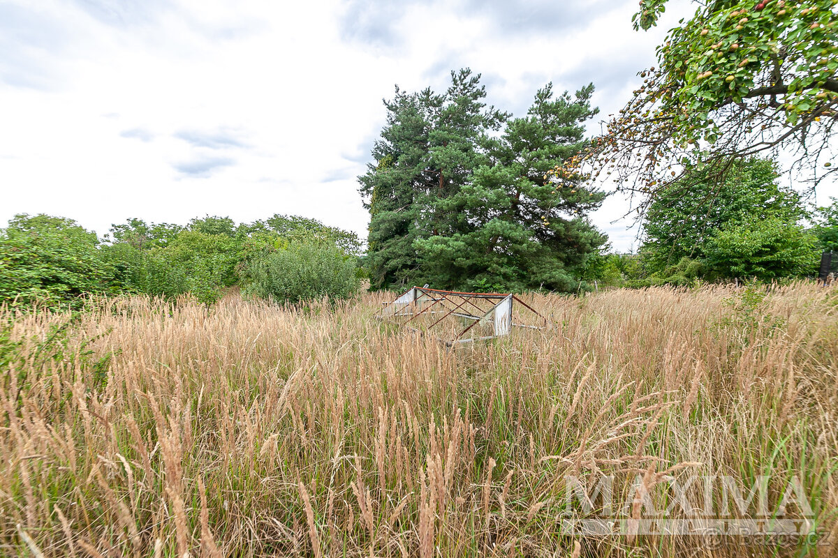 Pozemek o ploše 3823 m2 - Dolní Beřkovice, Podvlčí - 7