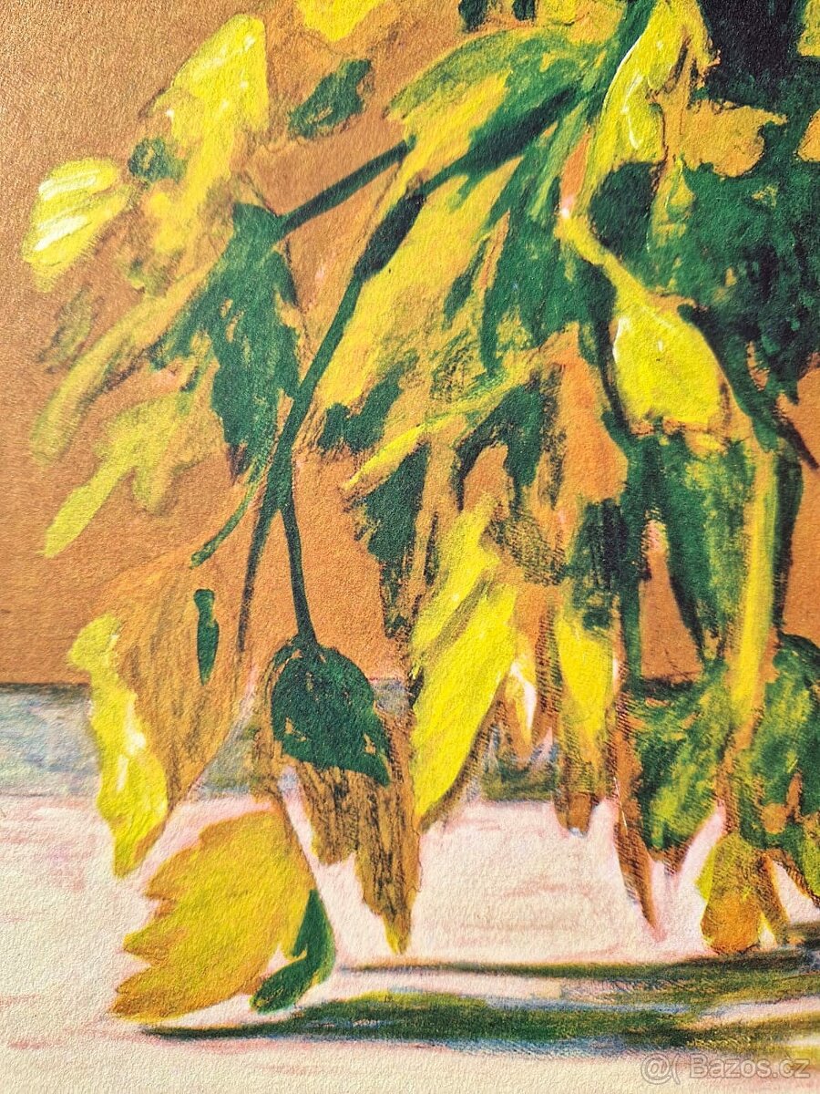 ANDREAS SCHOLZ - Sellerie und tomate (Litografia)fotorealis - 7