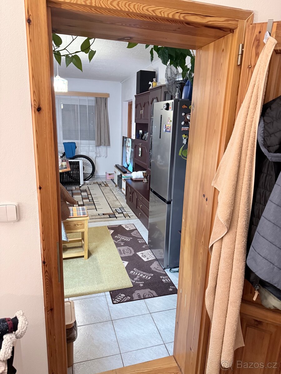 Pronájem garsoniéry 30m2 - 7