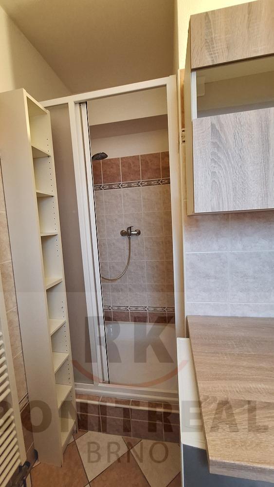 Pronájem bytu 1+1, v prvním patře RD v Rebešovicích - 7