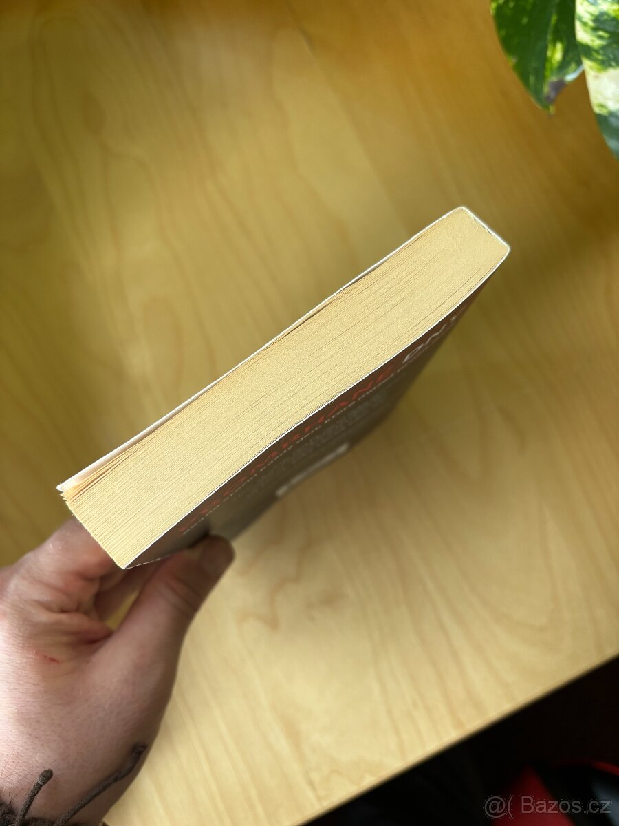 Promrhané dny | Tomáš Kosačík | Měkká vazba - 7