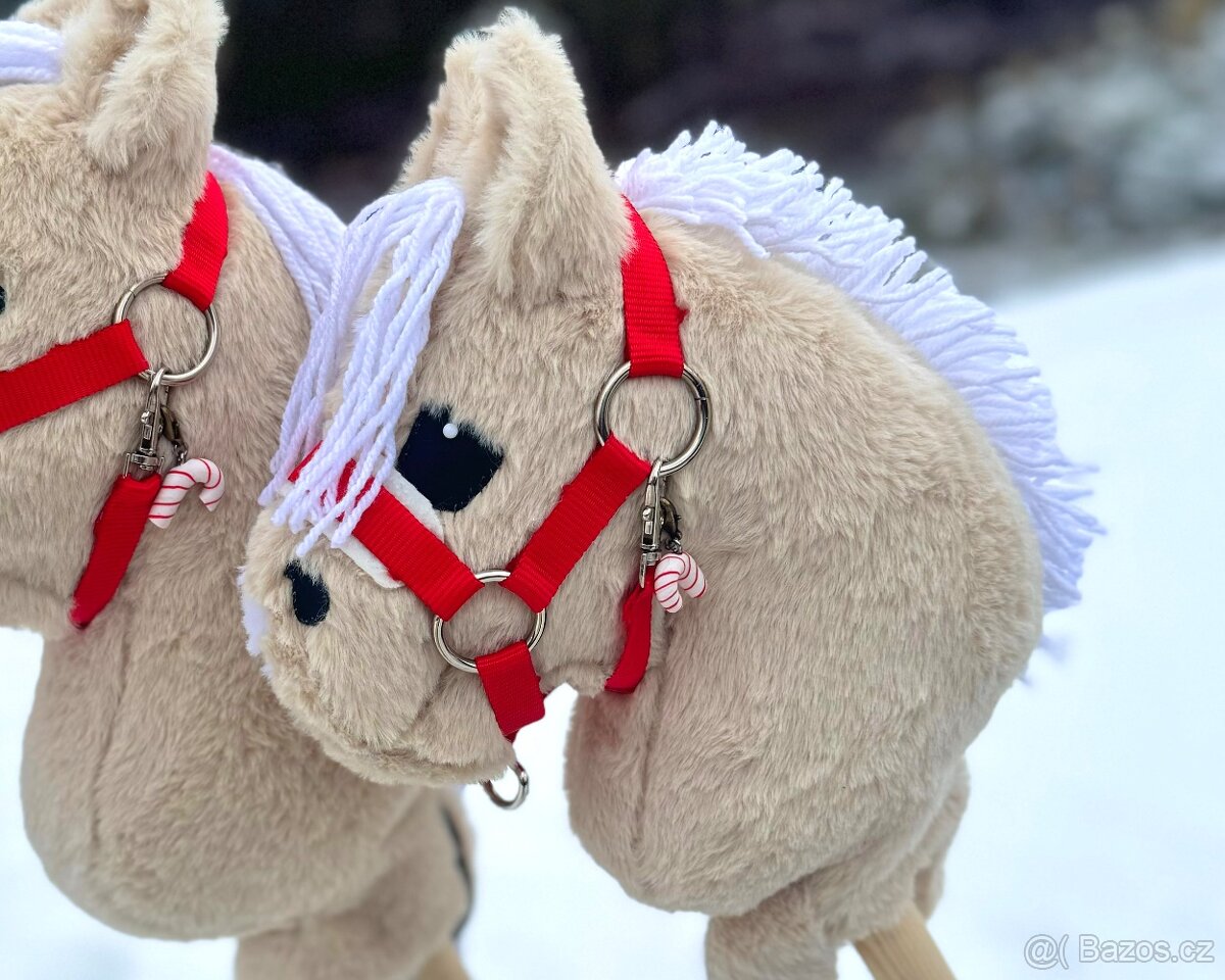 Hobby horse- zakázka - 7