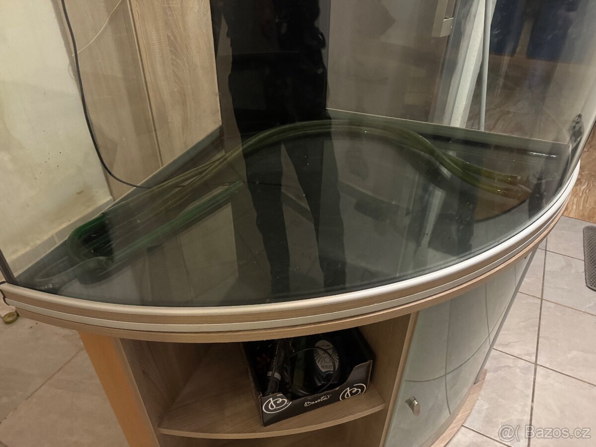 Rohové akváriu - 7