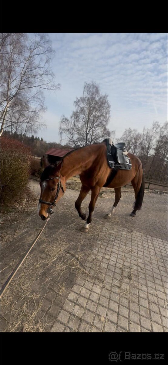 Valach - 7