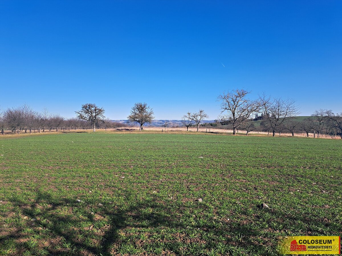 Štěchov, stavební rezerva, 4 979 m2 – pozemek - 7