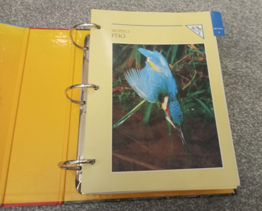 Encyklopedie zvířat 3 svazky - 7