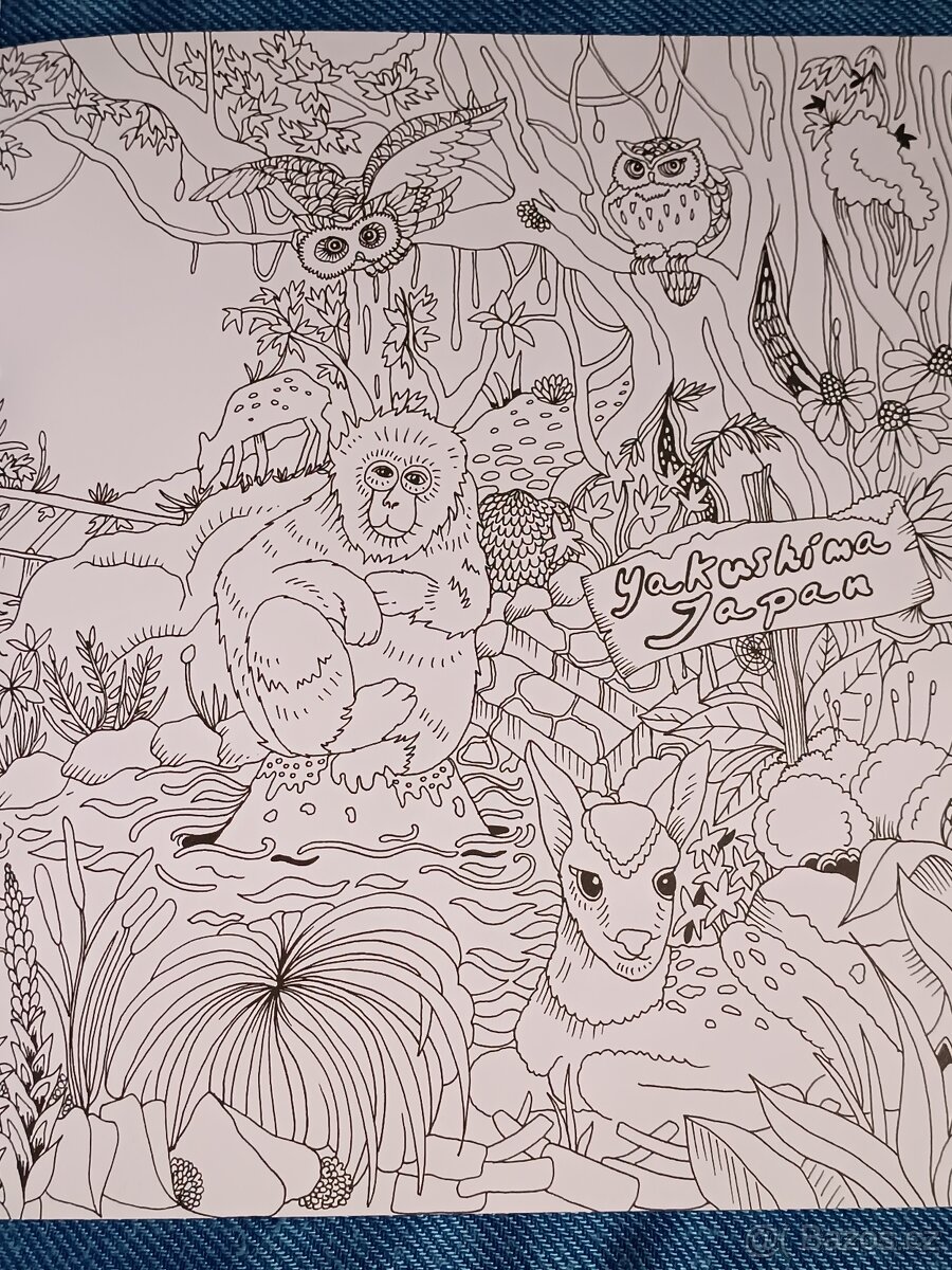 Omalovánky pro dospělé Exotický prales - 7