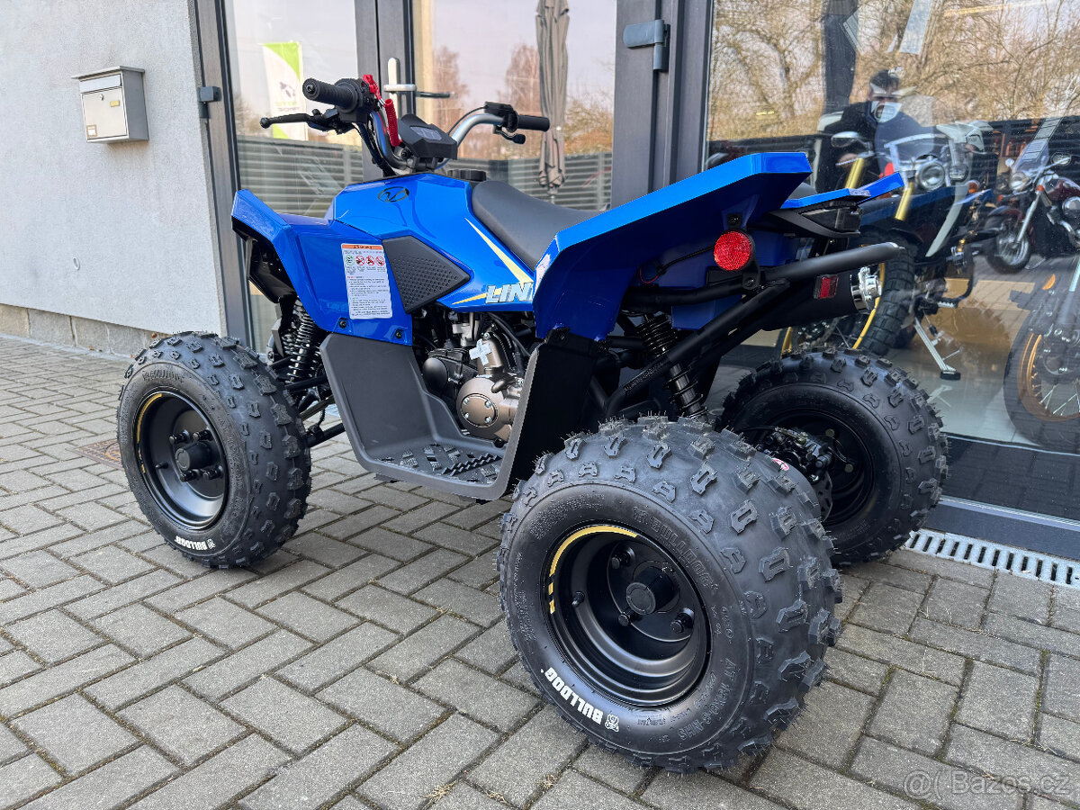 Linhai ATV 110 4x2 EFI CE - 7