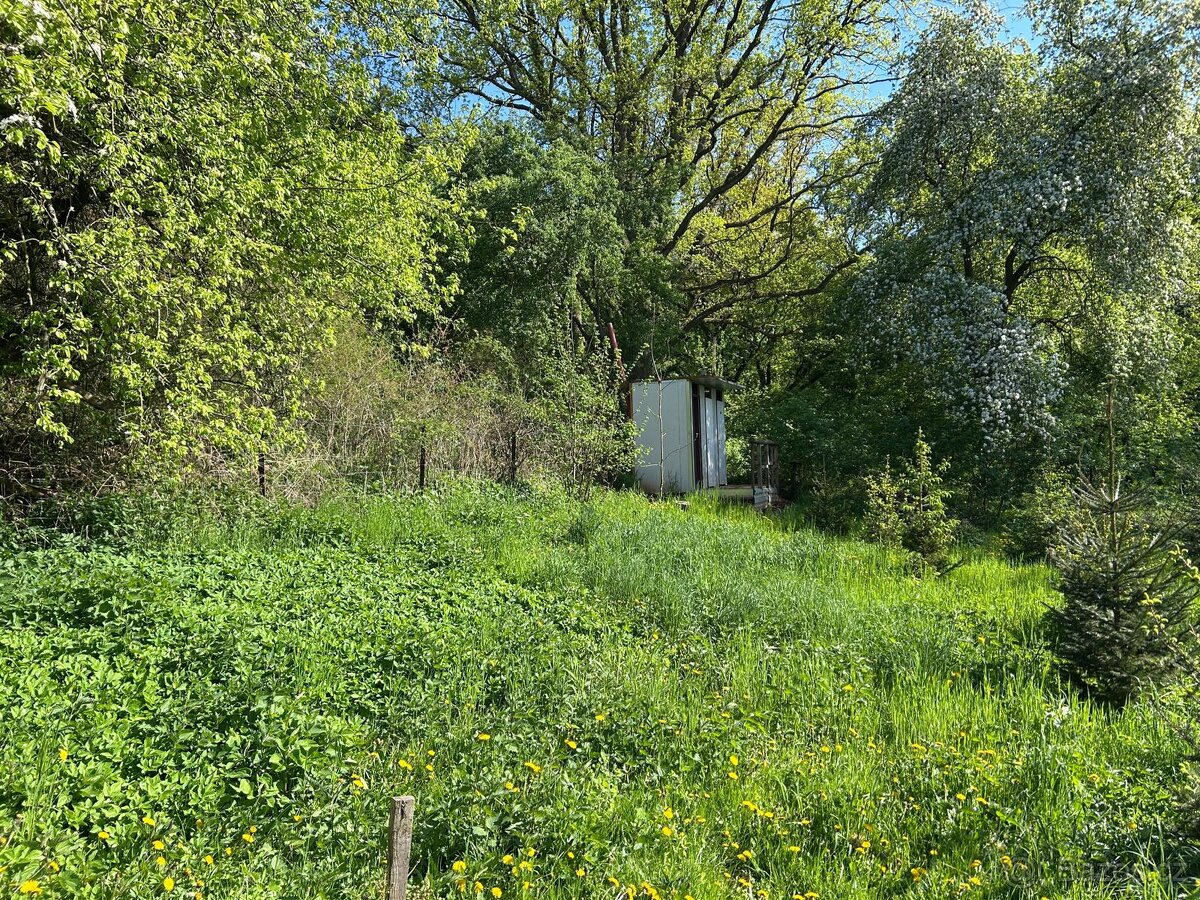 Prodám zahradu 7 763m2 - 7