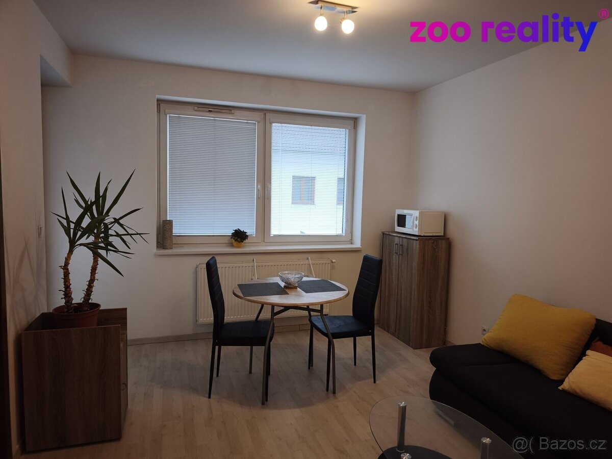 Pronájem, byt 2+kk, České Budějovice - 7