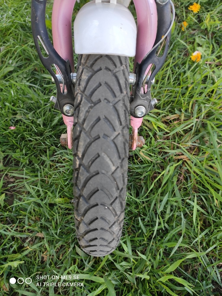 Dívčí kolo 12 - 7