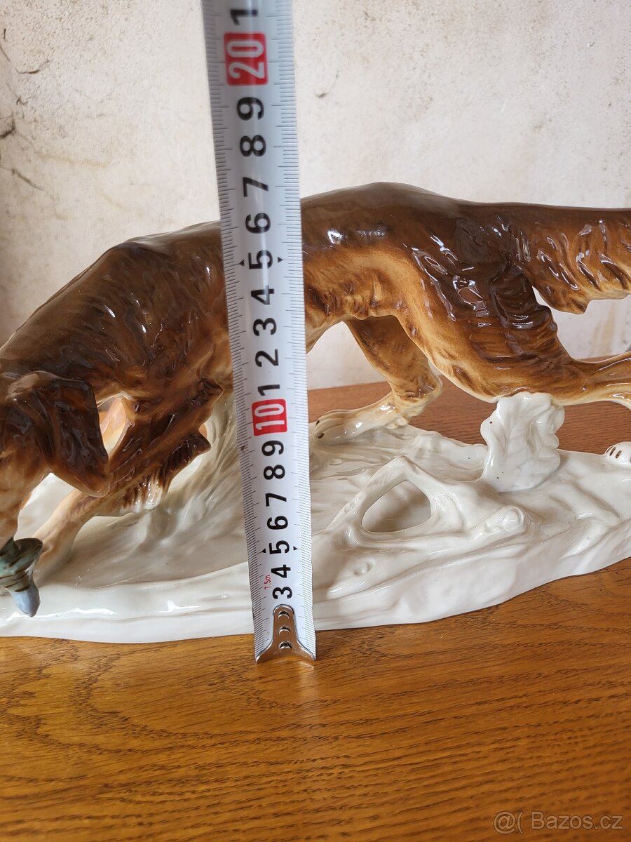 Lovecký pes Royal - Dux - 7