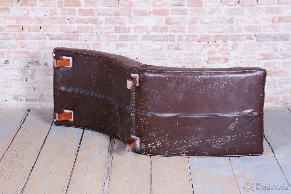 Elegantní hnědá lenoška - 7