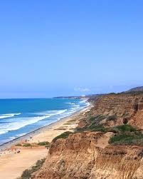 FELT San Onofre - plážový cruiser - 7