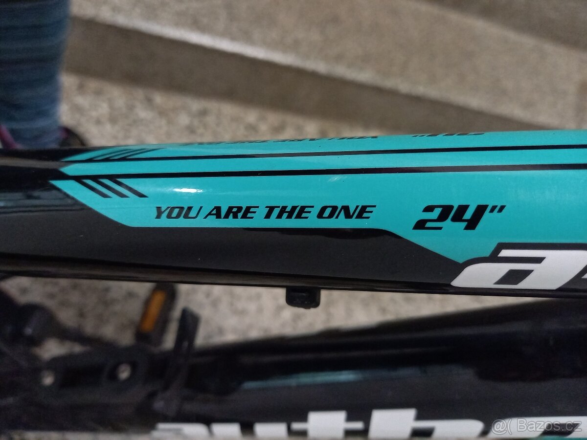 Kolo Author Matrix 24" - 7