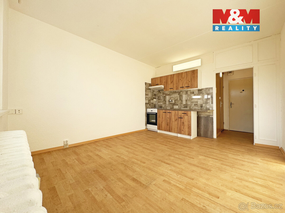 Pronájem bytu 1+kk, 20 m², Horní Slavkov, ul. Dlouhá - 7