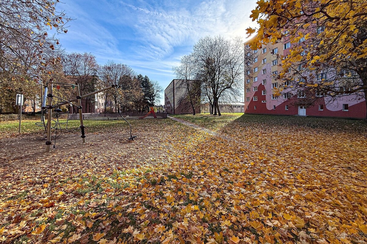 Prodej, byt, 3+1, 70 m², družstevní vlastnictví, Chomutov, M - 7