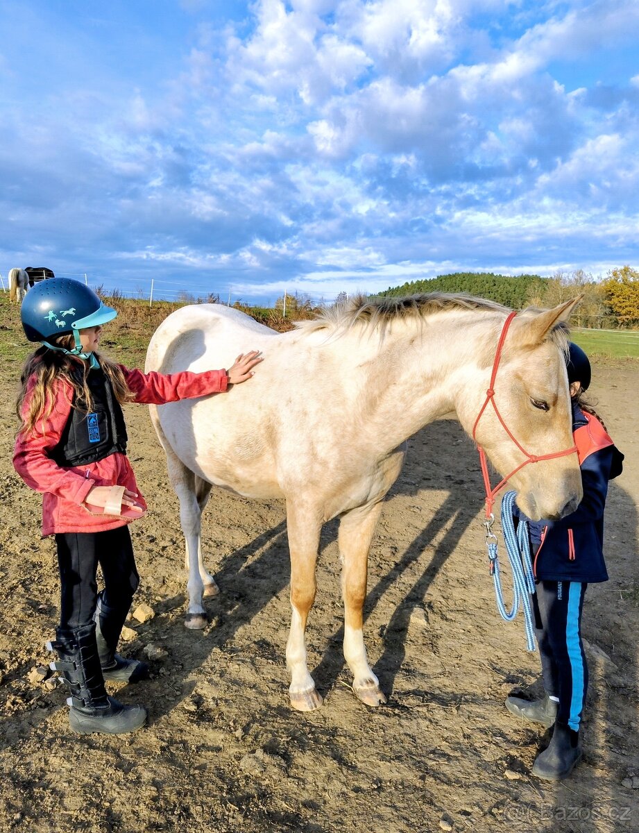 Klisna APH / APPA (rezervace do 23.11.) - 7