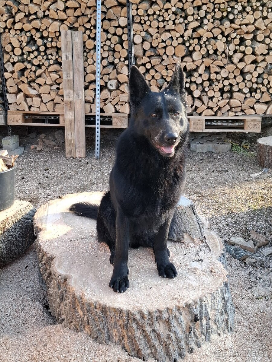 Dřevěné koláče - 7