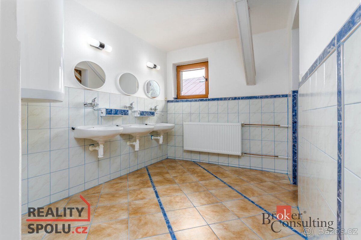 Prodej, komerční/ubytování, 620 m2, Promenáda 31, 54226 Horn - 7