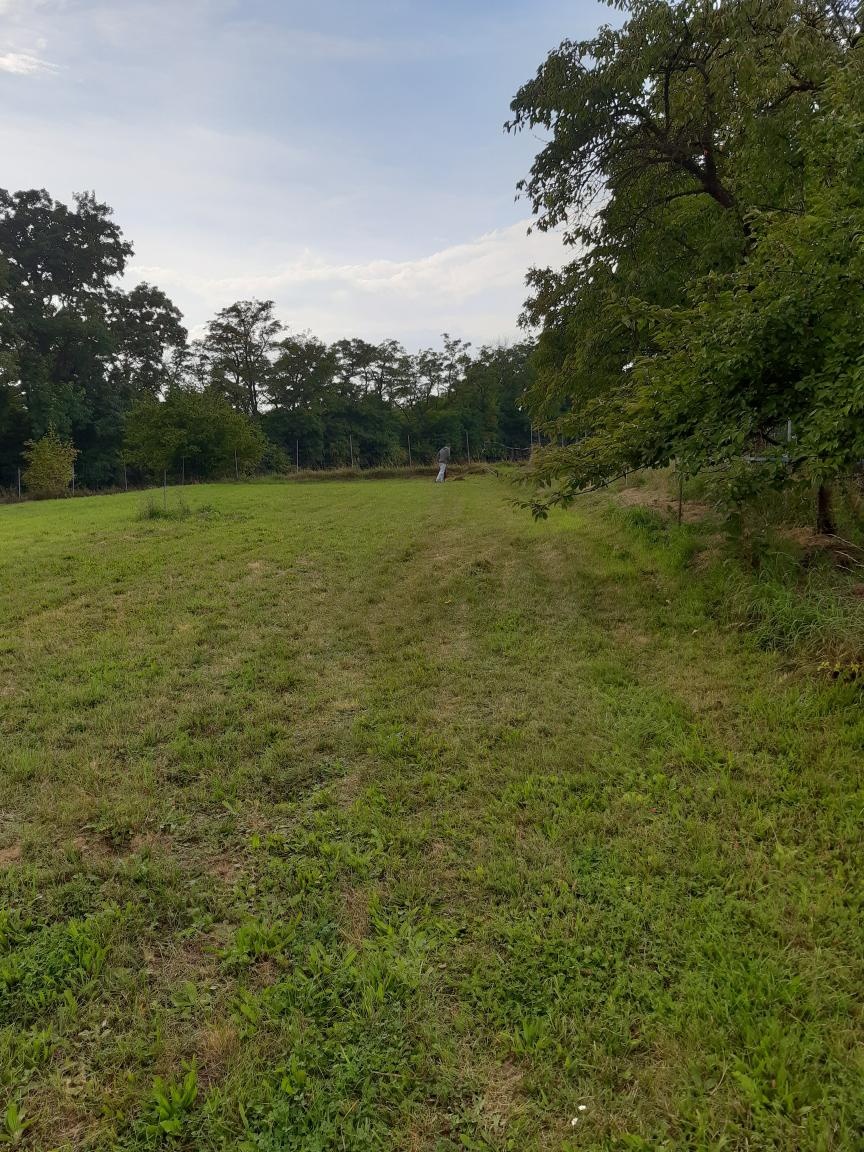 Pozemek pro stavbu RD - 7