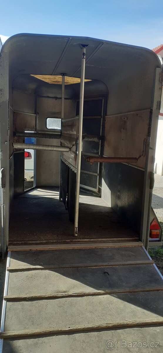 Přívěs na 2 koně IFOR WILLlAMS s přední rampou - 7