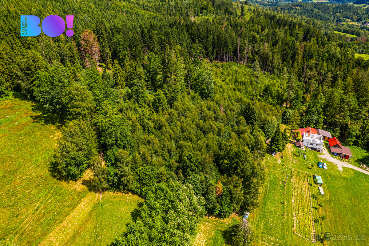 Prodej lesa, 12430 m², Písek - 7