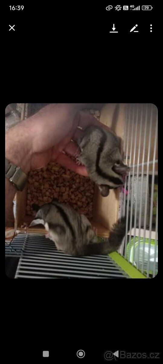 Vakoveverky + vybaveni - 7