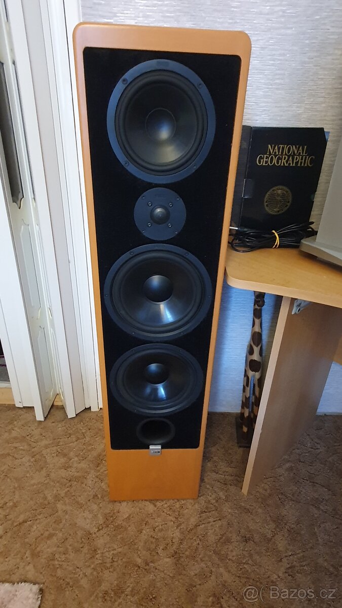 Canton ERGO RC-L + control unit - 7