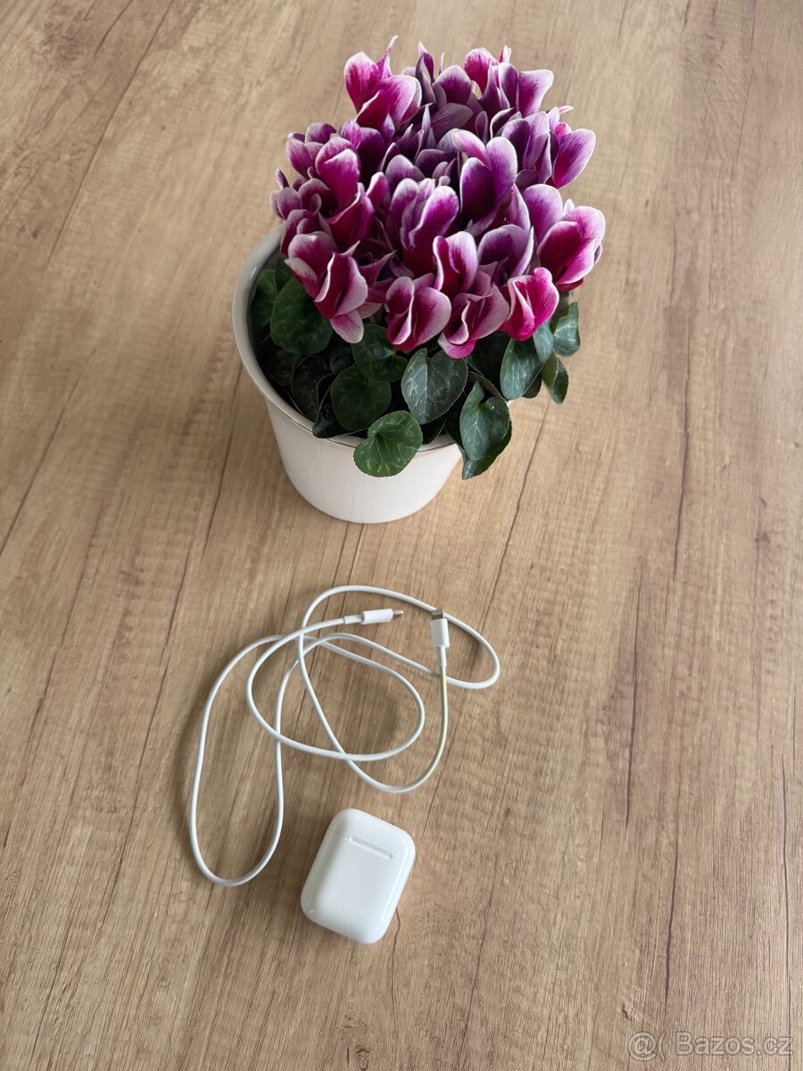 Apple airpods 1 - 7