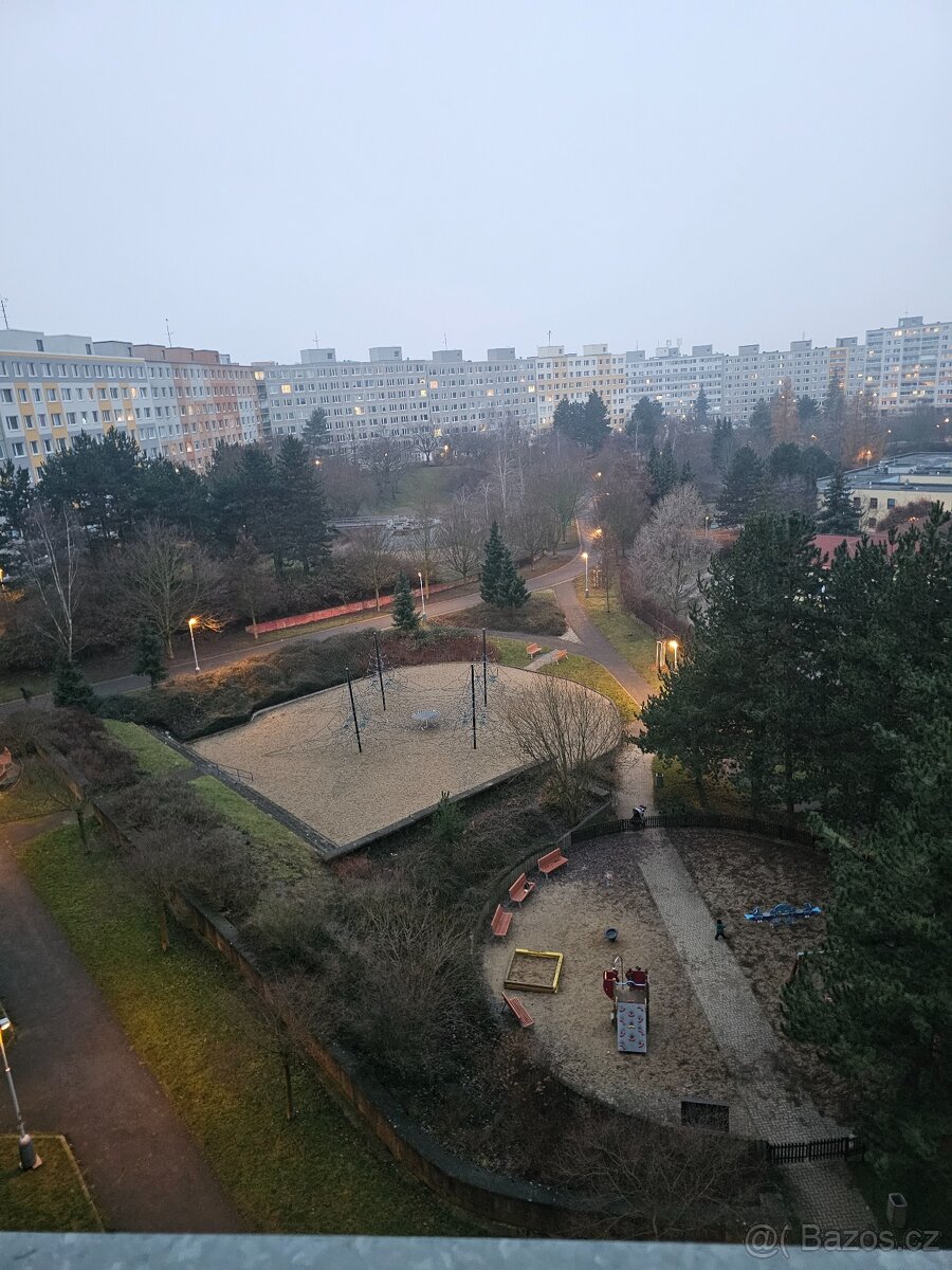 Pronájem bytu 1+1, 55 m2, ul. Bellušova - 7