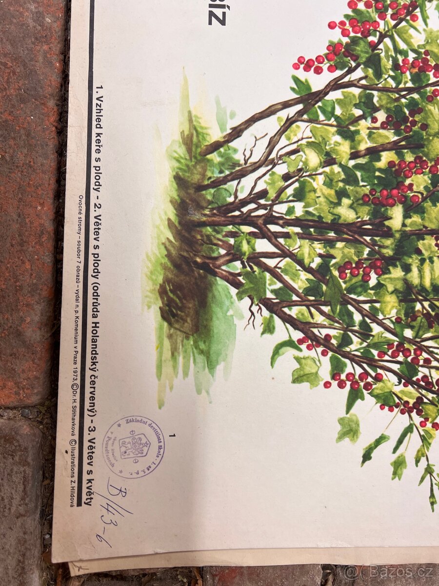 Školní plakáty 100 ks - 7