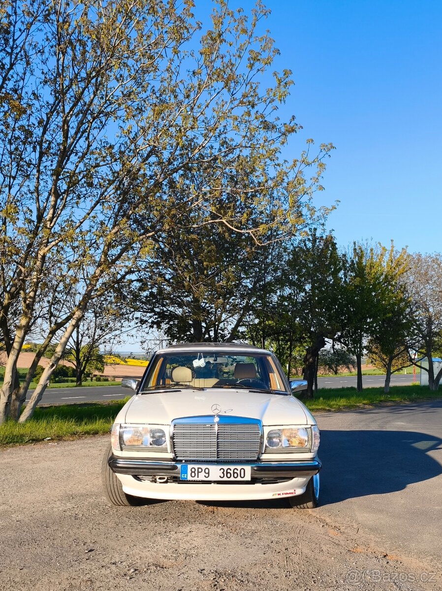 W123 230E Piano - 7